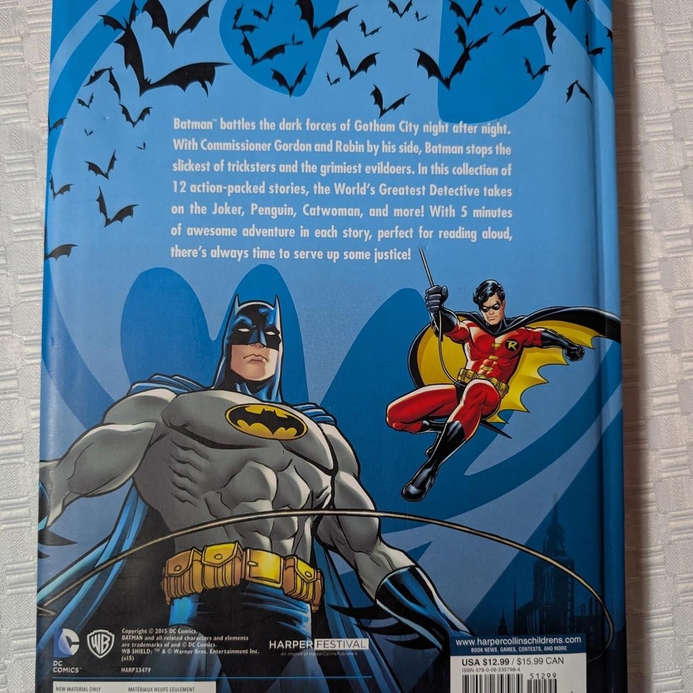 Batman Book - Picture 2 of 4